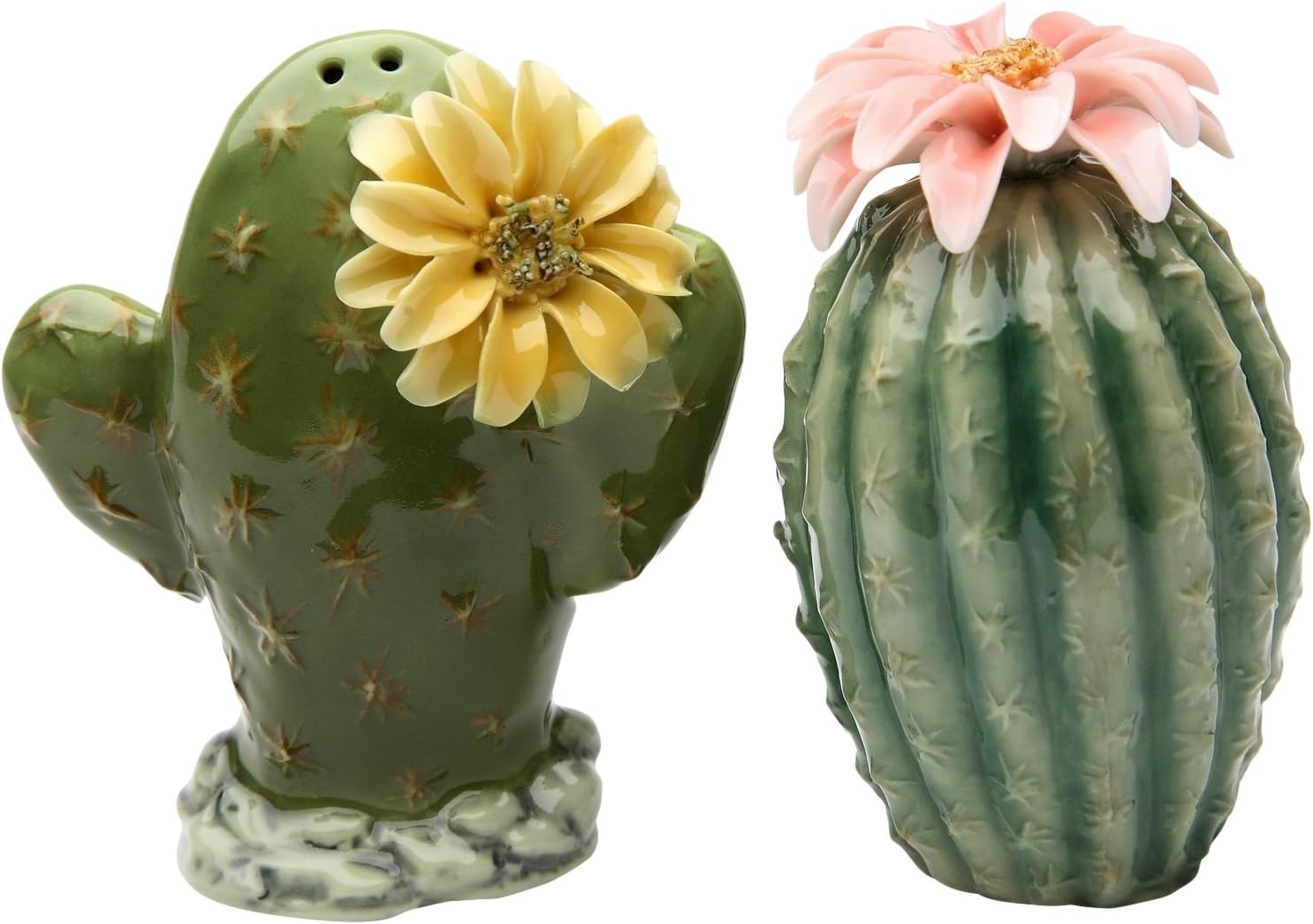 StealStreet Fine Ceramic Painted Cactus Flowers Salt & Pepper Shakers Set 3.12" H