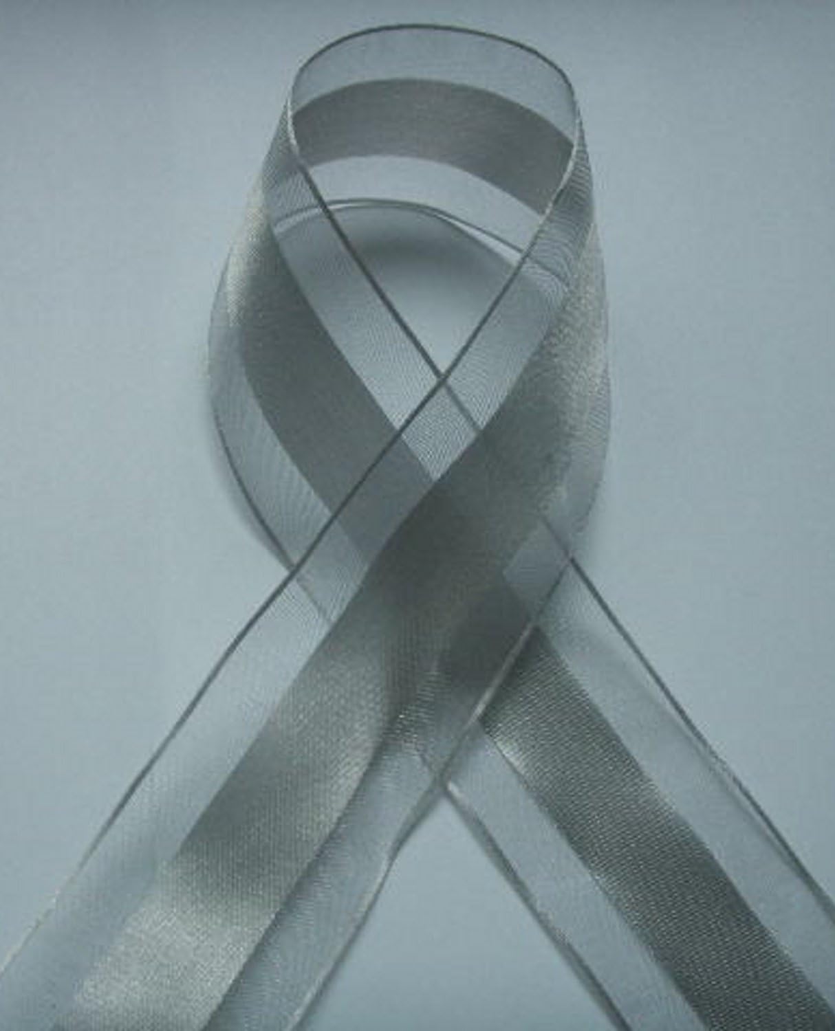 Party Favors Plus Silver Organza and Satin Ribbon 1.5in 25 Yards