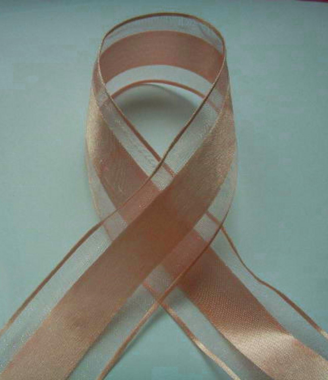 Party Favors Plus Peach Organza and Satin Ribbon 1.5in 25 Yards
