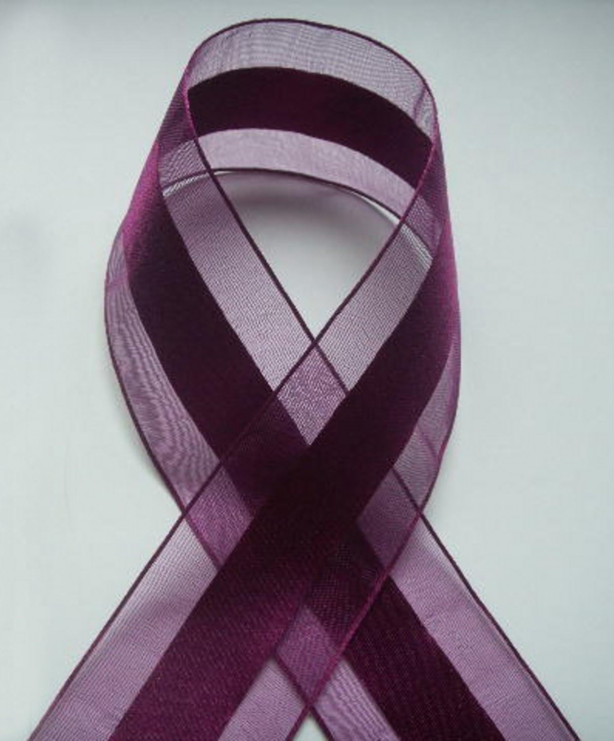 Party Favors Plus Burgundy Wine Organza and Satin Ribbon 1.5in 25 Yards