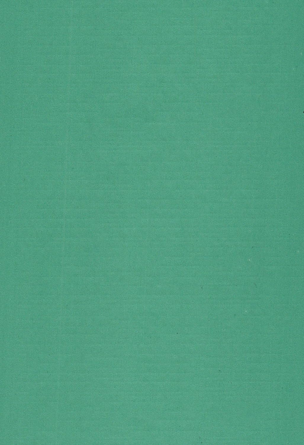 Party Favors Plus Teal Paper Placemats 50 Count
