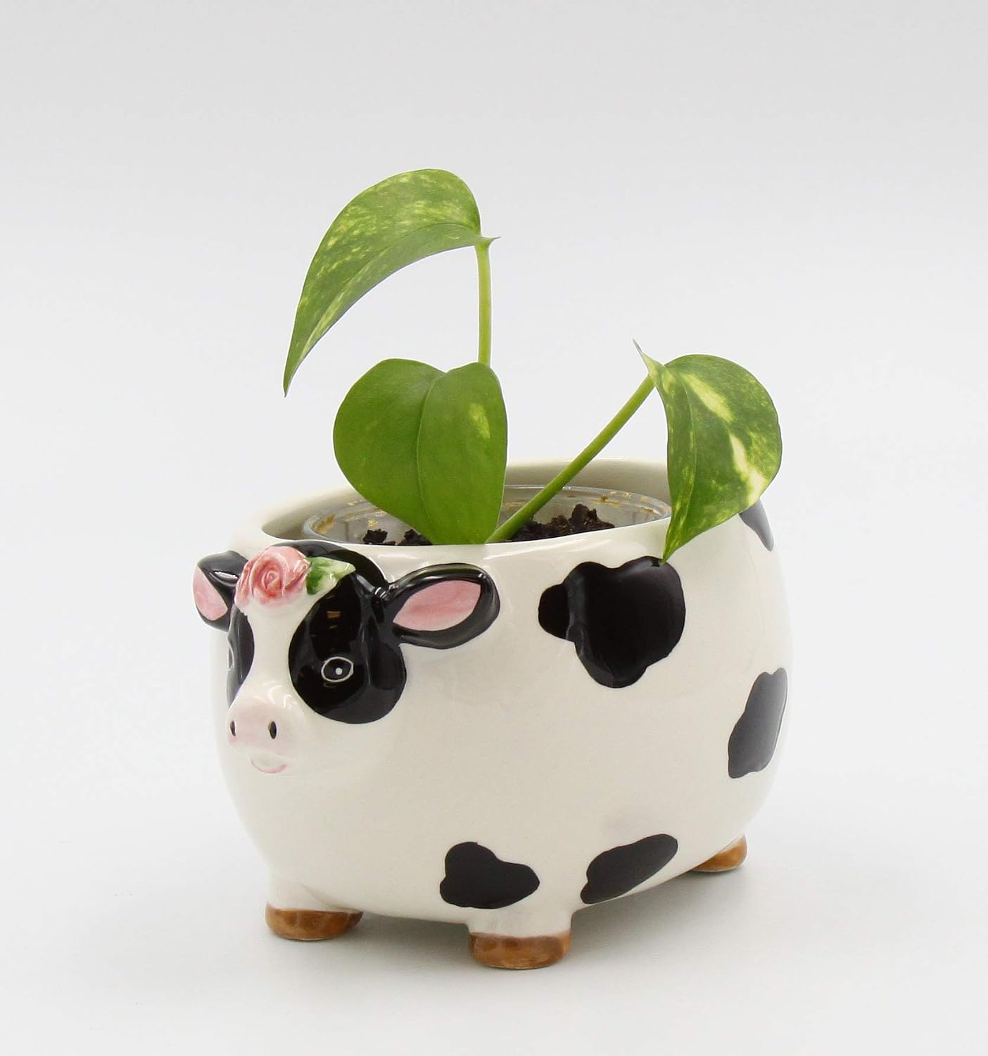 Cosmos Gifts Fine Ceramic Country Barnyard Cow Candy Dish Bowl/Plant Planter 5" L Multicolored