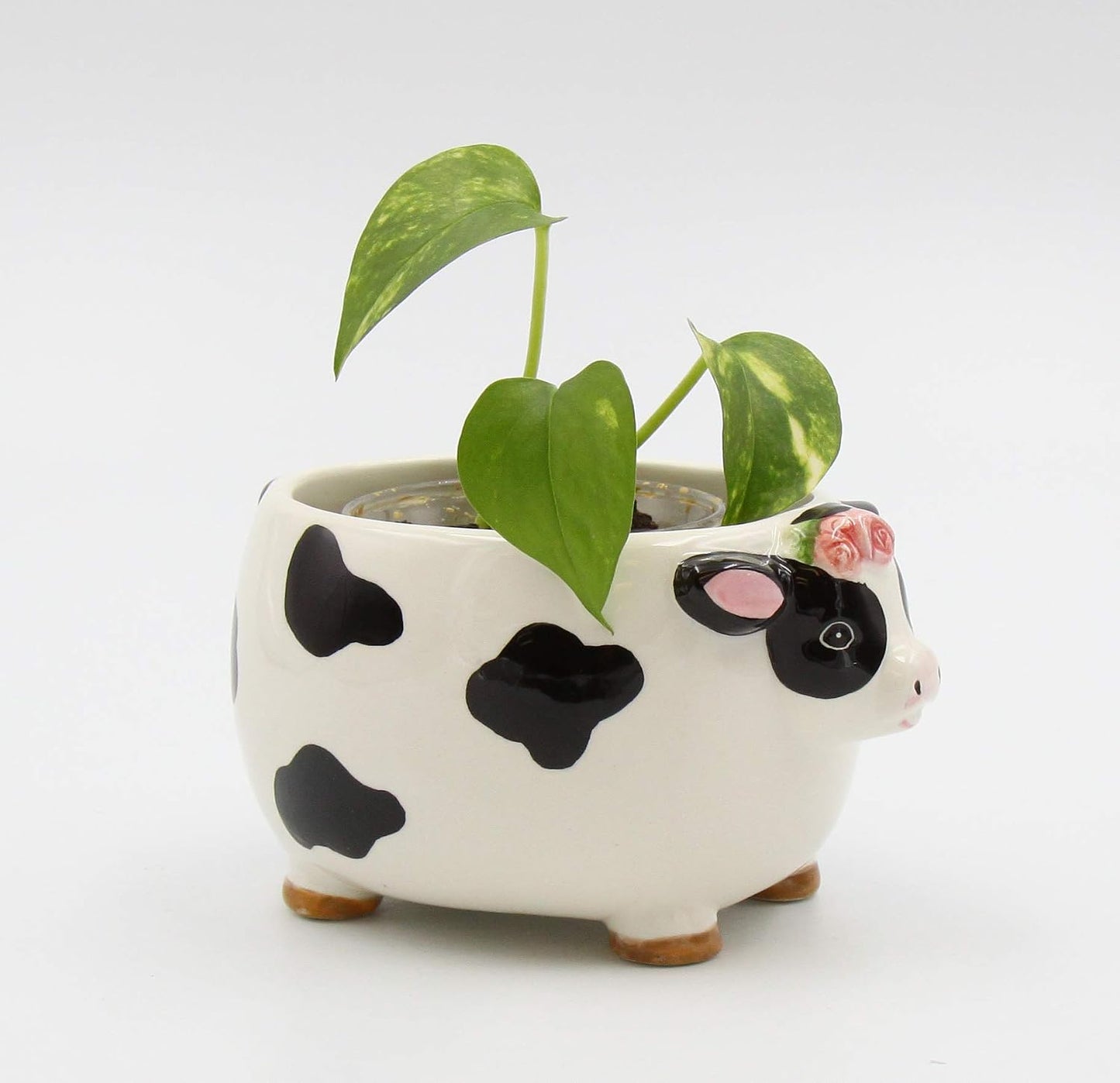 Cosmos Gifts Fine Ceramic Country Barnyard Cow Candy Dish Bowl/Plant Planter 5" L Multicolored