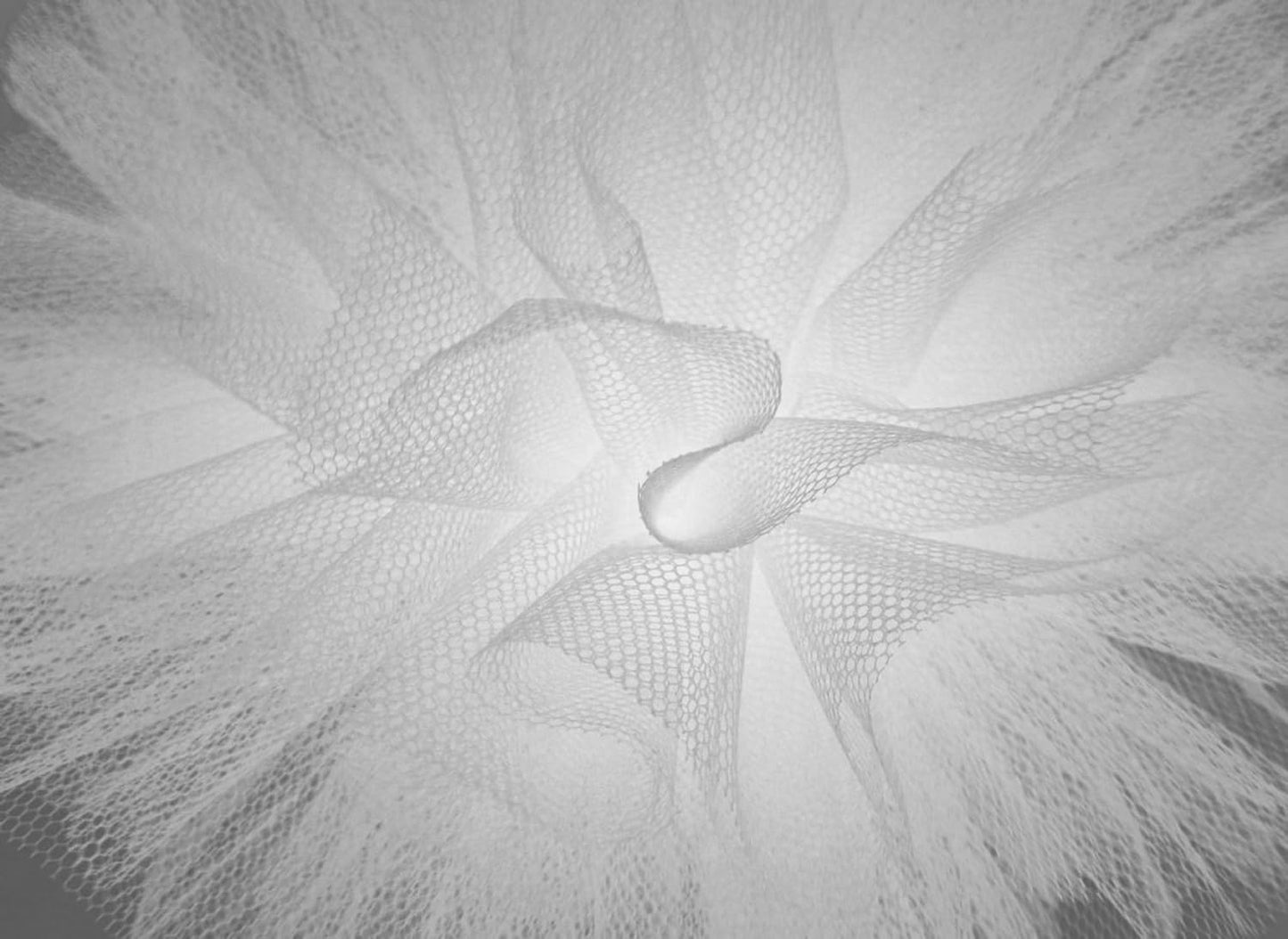Party Favors Plus White Scalloped Tulle Circles 24 Inch 25 Count