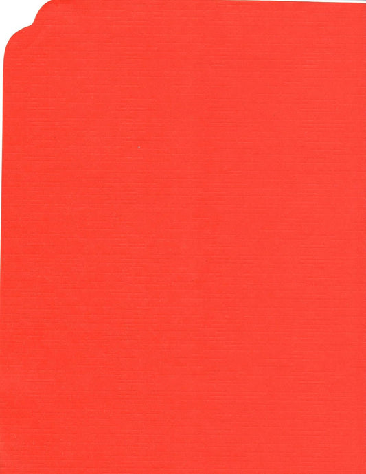 Party Favors Plus Orange Paper Placemats Straight Edge 72 Count